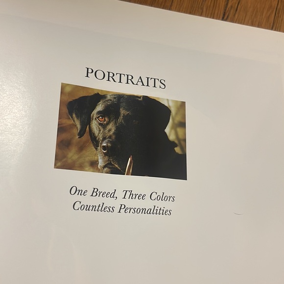 1995 Just Labs vintage hardcover book - Picture 10 of 17